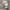 https://res.cloudinary.com/billionhands/image/upload/v1775265272/items/v3zu58ikrvhed88c5aua.webp-3cover