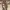 https://res.cloudinary.com/billionhands/image/upload/v1775265423/items/fcknyajtqb7msntd60vx.jpg-1cover
