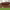 https://res.cloudinary.com/billionhands/image/upload/v1775265541/items/uxtu8sqhtndho8elvtsy.jpg-2cover