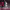 https://res.cloudinary.com/billionhands/image/upload/v1775265886/items/ubtbfova5eyb2mabnhgs.jpg-0cover