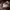 https://res.cloudinary.com/billionhands/image/upload/v1775266372/items/ztk4krbdfib7exv8gqfh.webp-1cover