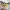 https://res.cloudinary.com/billionhands/image/upload/v1775266496/items/phi46luarv8apyo0at8b.avif-1cover