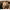 https://res.cloudinary.com/billionhands/image/upload/v1775266686/items/h9uokqpuenbnvadgtofx.png-0cover