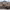 https://res.cloudinary.com/billionhands/image/upload/v1775266772/items/mafbtzckgxncrazrsafy.jpg-3cover