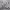 https://res.cloudinary.com/billionhands/image/upload/v1775267237/items/mrsfapsaygdkmeishdda.jpg-0cover
