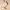 https://res.cloudinary.com/billionhands/image/upload/v1775267363/items/r68glhdpa43rvtpam0wm.webp-1cover