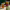 https://res.cloudinary.com/billionhands/image/upload/v1775267512/items/qzznwa22s4h7vwwj5ulk.jpg-3cover