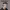 https://res.cloudinary.com/billionhands/image/upload/v1775268100/items/i8x8ess2ufogwhtnvprn.jpg-0cover