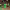 https://res.cloudinary.com/billionhands/image/upload/v1775268690/items/cjrftsdgqo3qthy06zcx.jpg-3cover