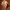 https://res.cloudinary.com/billionhands/image/upload/v1775269407/items/m42sp3g8kvkfdyknyrjn.webp-1cover