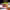 https://res.cloudinary.com/billionhands/image/upload/v1775269647/items/mzqdp6cnct1ltalmsrzy.jpg-3cover
