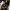 https://res.cloudinary.com/billionhands/image/upload/v1775270316/items/lecohbpelvtq3htoigzk.webp-1cover
