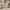 https://res.cloudinary.com/billionhands/image/upload/v1775271609/items/skancrd1d1bck0ueybke.webp-0cover