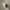 https://res.cloudinary.com/billionhands/image/upload/v1775271609/items/slidadaspiqzgbguvvbc.webp-0cover