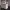 https://res.cloudinary.com/billionhands/image/upload/v1775271610/items/syhtucpyjmnbyvzxzcj4.webp-1cover