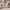 https://res.cloudinary.com/billionhands/image/upload/v1775271620/items/chckjjoa9fwwy971fgjf.avif-3cover
