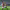 Alexis Sánchez cover