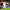 https://res.cloudinary.com/billionhands/image/upload/v1775271730/items/x3ae4kqa8koyupt2fwh3.webp-2cover