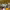 https://res.cloudinary.com/billionhands/image/upload/v1775272120/items/bblhspd1hajzgaupfedq.webp-0cover