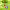 https://res.cloudinary.com/billionhands/image/upload/v1775272122/items/sbvu65dkhntdgrdhdcre.webp-2cover