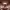 https://res.cloudinary.com/billionhands/image/upload/v1775272868/items/r9lpoeey3iscovwkrtjr.webp-0cover