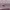 https://res.cloudinary.com/billionhands/image/upload/v1775275288/items/nutf6hfyfroe4rg1y4eo.avif-3cover