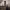 https://res.cloudinary.com/billionhands/image/upload/v1775277744/items/lr2ohe9c1fn5agatp417.webp-2cover