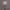 https://res.cloudinary.com/billionhands/image/upload/v1775277786/items/vgxgersqymbbplndfhgw.webp-1cover
