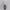 https://res.cloudinary.com/billionhands/image/upload/v1775277787/items/tgamxkrvqbzjbbjxvzl3.webp-2cover