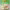 https://res.cloudinary.com/billionhands/image/upload/v1775278550/items/cb9vrhzdnnyuzmmlcbds.png-0cover
