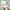 https://res.cloudinary.com/billionhands/image/upload/v1775280120/items/p1remvqbcwxizz2jcbte.jpg-0cover
