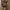 https://res.cloudinary.com/billionhands/image/upload/v1775281868/items/hgjgcxwcntlpgeom2wgk.webp-1cover