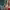 https://res.cloudinary.com/billionhands/image/upload/v1775282199/items/vxbymelsmguydrfnreqi.jpg-3cover