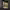 https://res.cloudinary.com/billionhands/image/upload/v1775282733/items/dogwp9m3pgkraypwnqk3.jpg-0cover
