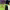 https://res.cloudinary.com/billionhands/image/upload/v1775283646/items/dfdwyh4tn1owf4xeszzh.jpg-3cover