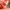 https://res.cloudinary.com/billionhands/image/upload/v1775285100/items/kx5rbzijucxvjsvaobbw.png-1cover