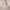 https://res.cloudinary.com/billionhands/image/upload/v1775285565/items/lqfe6axtgat5m0wazdj5.webp-1cover