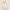 https://res.cloudinary.com/billionhands/image/upload/v1775285566/items/h1clj5tgj9ynrhiknj4p.webp-1cover