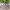 https://res.cloudinary.com/billionhands/image/upload/v1775285851/items/et6hn9xpwcoz1zk2zn0c.jpg-0cover