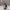 https://res.cloudinary.com/billionhands/image/upload/v1775286239/items/jfsuheejzfugfo3o7egv.jpg-3cover