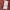 https://res.cloudinary.com/billionhands/image/upload/v1775287009/items/wqrobr8jvzi12ftcqjco.jpg-0cover