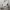 https://res.cloudinary.com/billionhands/image/upload/v1775287982/items/p5ytrlmbmjlod5ffgibe.avif-3cover