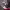 https://res.cloudinary.com/billionhands/image/upload/v1775288478/items/yz9rpywleqjmzxvu722b.png-1cover