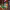 https://res.cloudinary.com/billionhands/image/upload/v1775289276/items/aiwzqhhcug8000c27not.jpg-2cover