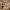 https://res.cloudinary.com/billionhands/image/upload/v1775289286/items/fsvew7k4r3feisgdkcd3.avif-2cover