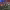 https://res.cloudinary.com/billionhands/image/upload/v1775290332/items/t3nfxfhvgyjsjuzmcnsz.jpg-0cover