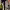 https://res.cloudinary.com/billionhands/image/upload/v1775290384/items/t0dgtymuuziaspyg7hlo.webp-3cover