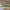 https://res.cloudinary.com/billionhands/image/upload/v1775292183/items/vjflgwq5pyk8vwrgmzea.jpg-2cover