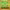 https://res.cloudinary.com/billionhands/image/upload/v1775293820/items/pzfagv7fetsmjnuwsvwk.jpg-0cover