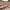 https://res.cloudinary.com/billionhands/image/upload/v1775294669/items/iphqvqox8m8bzsxp5sle.jpg-1cover